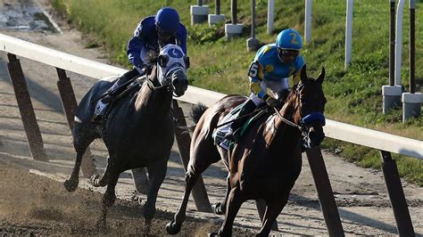 belmont stakes records|The 10 Fastest Horses to Ever Win the Belmont Stakes.